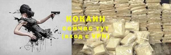 трава Лабытнанги