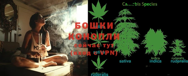 трава Лабытнанги