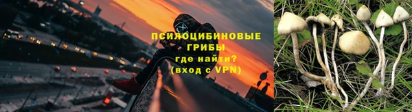 трава Лабытнанги