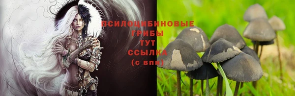 трава Лабытнанги