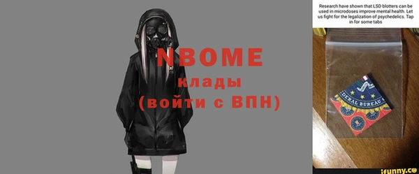 трава Лабытнанги
