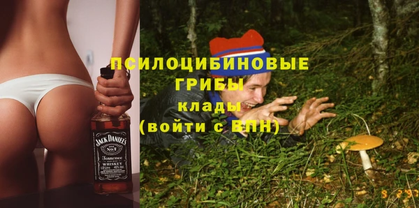 трава Лабытнанги