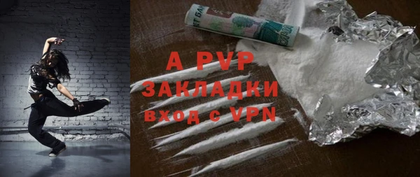 стаф Ладушкин