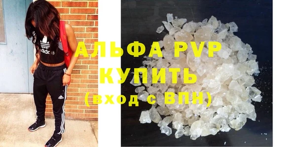 стаф Ладушкин