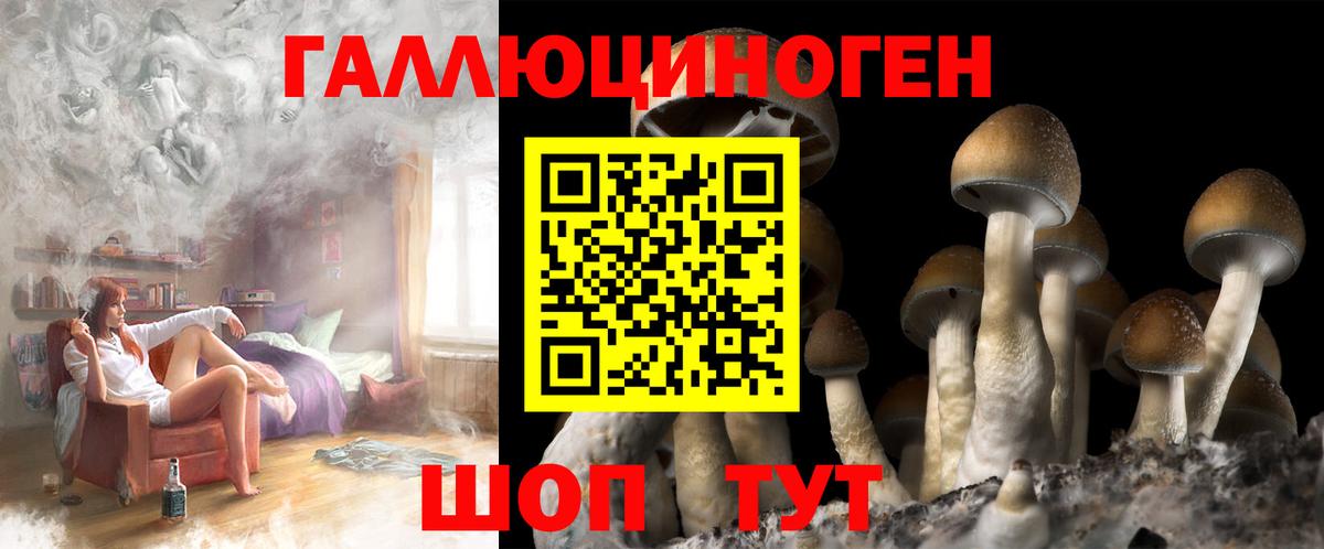 Галлюциногенные грибы Psilocybine cubensis Шали