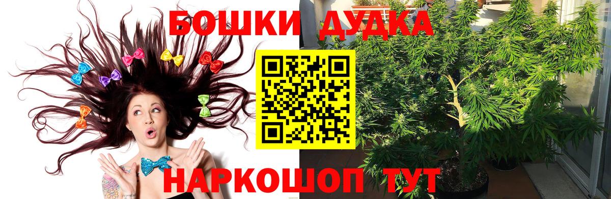 Бошки Шишки план  Вход с VPN  Конопля Amnesia  Марихуана сатива  Шали 